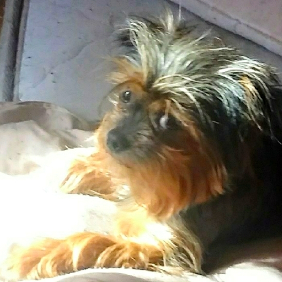 TRADE OR OFFERS  Wannatrade ? Let Me Know SHARE AND  I WILL SHARE - Picture 1 of 4